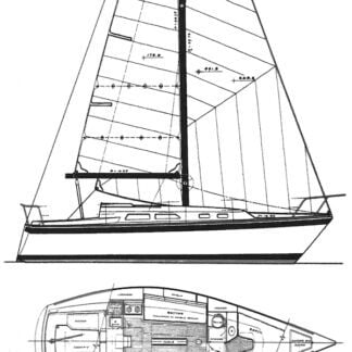 o'day 30 drawing