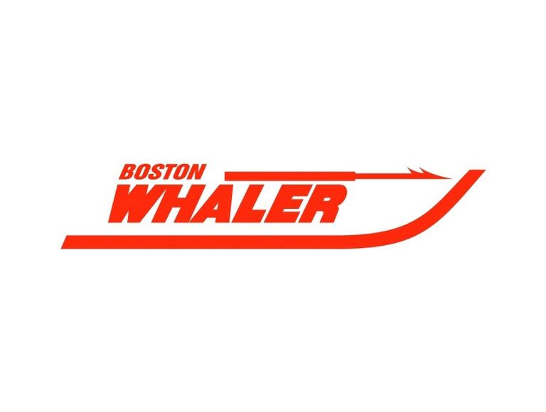 Boston Whaler 15 - Winter Cover