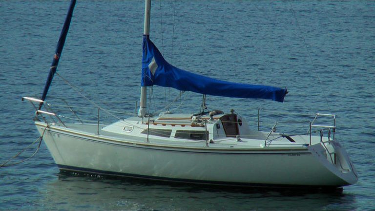 Catalina 26 - Framed Winter Cover
